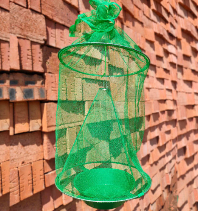 1688988095437165.png e8f114d8c8af9656d5dcca044087ae1.png