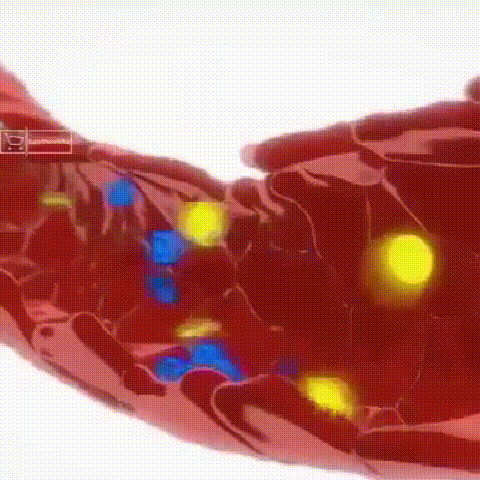 1689409762239839.gif 8f3d8f05b3b3bf9314937f0a2aa6e21e.gif