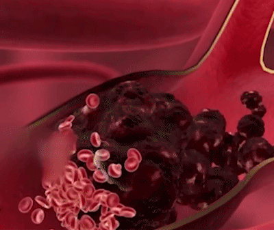 1697807714567768.gif 10.gif