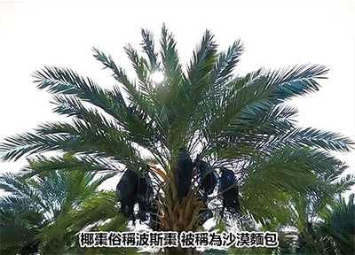 1697807841708087.gif 14.gif