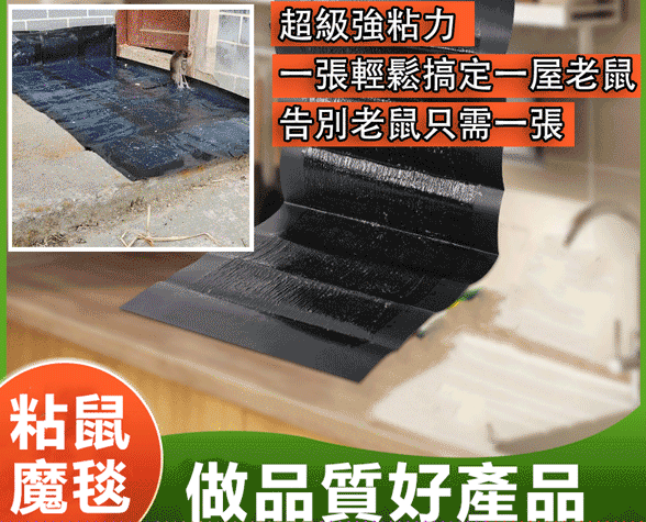 超級強粘力，一張輕鬆搞定一屋子老鼠||告別老鼠只需一張