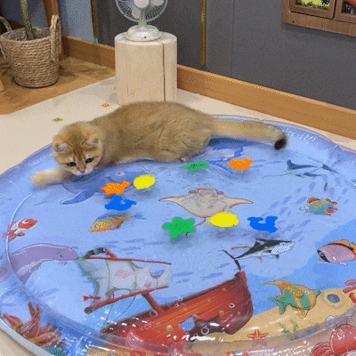 1718695476681477.gif 1.gif