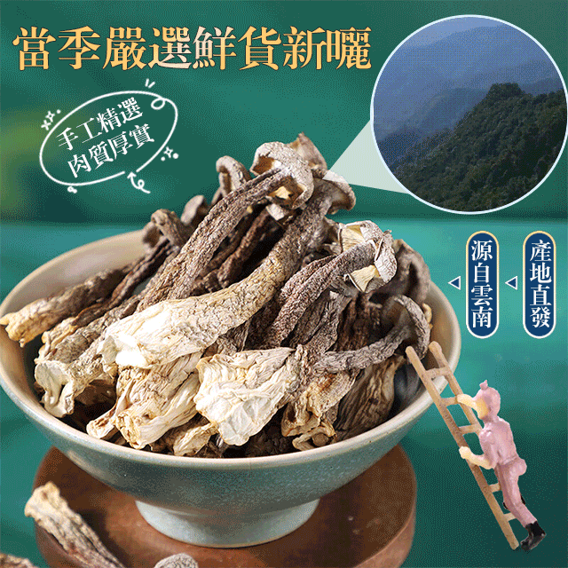 【煲湯炒菜下飯必備】山珍海味鹿茸菇 #高山食材 #滋補養生 【煲湯炒菜下飯必備】山珍海味鹿茸菇 #高山食材 #滋補養生