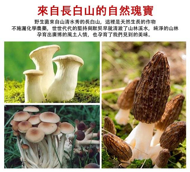 1727998116723292.jpg 479dd0f59ed4442a87da4ec1a0db546d.jpg