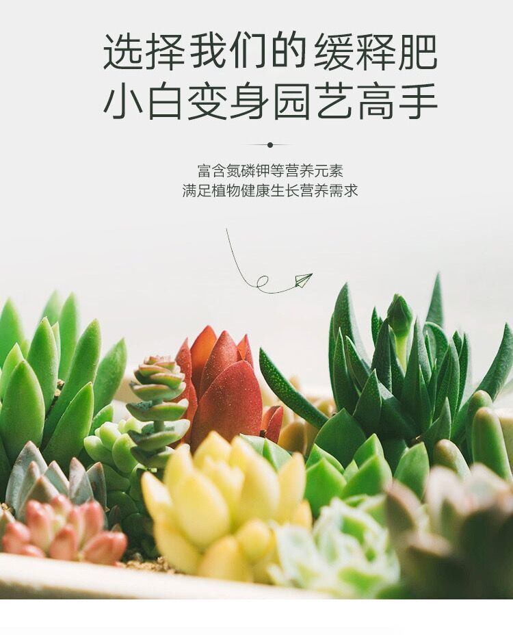 1727998821683903.jpg dfb452830a67406487ef23fab65e9ca0_20240929204843_953.jpg