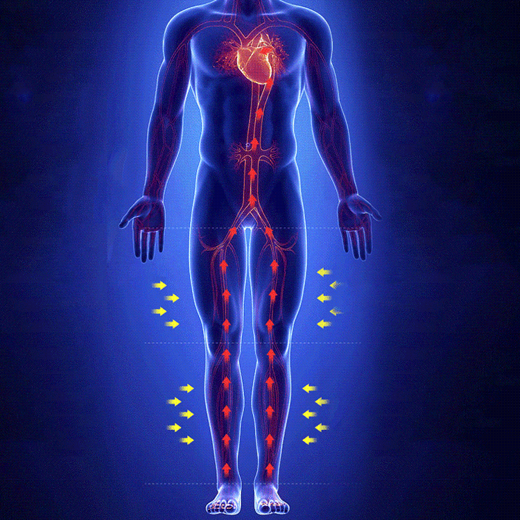 1731472805998109.gif d4bdb41adc5843af87d18818c494e66e.gif